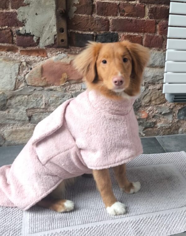 Toller retriever handgemaakte badjas in badstof M/L - Afbeelding 3