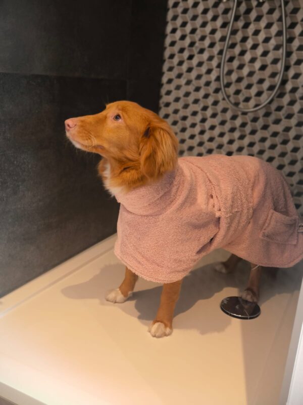 Toller retriever handgemaakte badjas in badstof M/L - Afbeelding 4